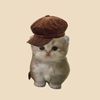 user6004613451060