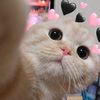 rrrrrn_181211