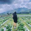 bgbigboy_