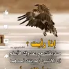 naeef2888