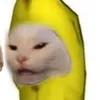 ceci_nkj