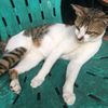 momy_molly1