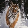 andres.rangel549