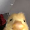 r.rrrgrizll