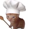 cats.peacee