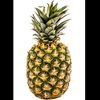 manstaysmango