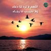 user9814522047622