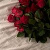 ربي اسعدها سعادة الدارين🩷🥹