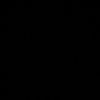 i_nsii