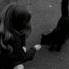 miy._.adaa