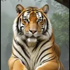 user890406196