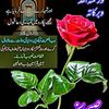 asadmajeed788