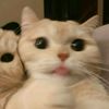 i00nya