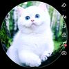 aysen.vusal