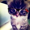 _coquette.bow