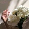 user7484401287765