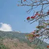 phieudu074