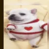 Keevr