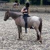 charlie_9810