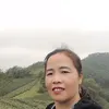 nghidinh13