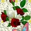 maryem.marwa