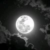 zeinab_mohammed696