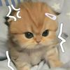__xyz.cahya