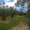 intermejo