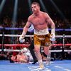 boxingnerd