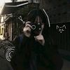 raisacat4054