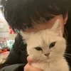 kawaiikreator