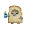 cookiescat__