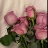 nasteexo_3