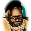 cheikhgueye3730