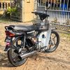 sapoter9