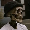 omid__.420