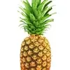 pineapplepineapplepineap