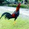 user27masdhon