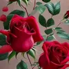 user8188817223153