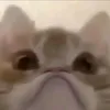 dinhcongminh00
