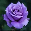 user2000422746158
