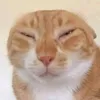 nahah_2o8