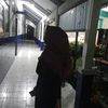ell1ssq3