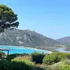 dusannier