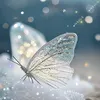 user233131795