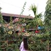 yunanembang3