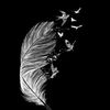 .mohammad9367