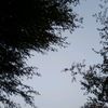 msjan486
