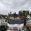 fijai.purba