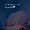 ehamyalfal1
